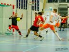 Kampioen J6190161